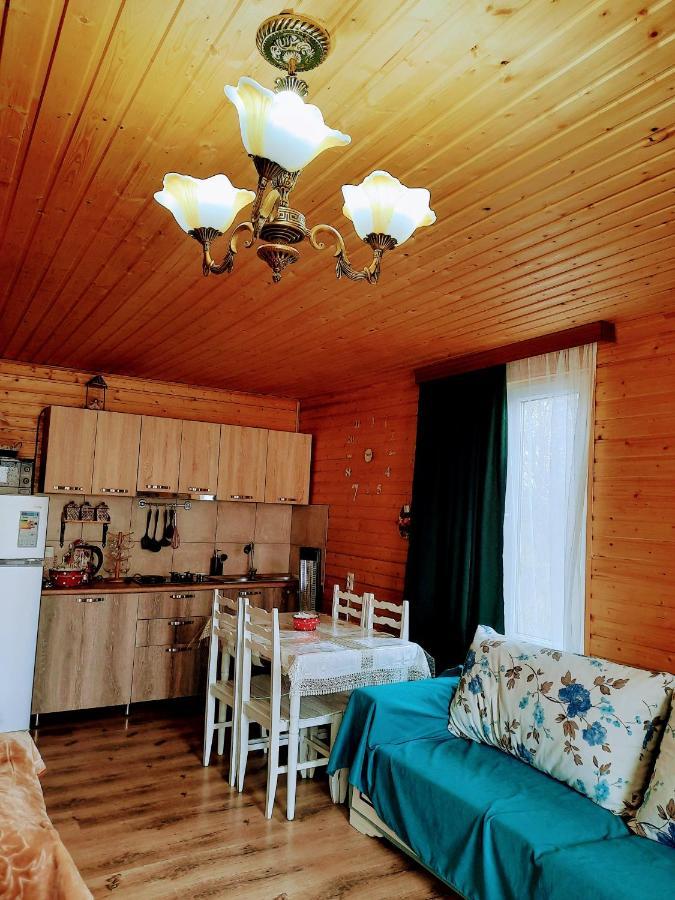 Family Hotel Maia - Cемейная Гостиница Майя Dashbashi Extérieur photo