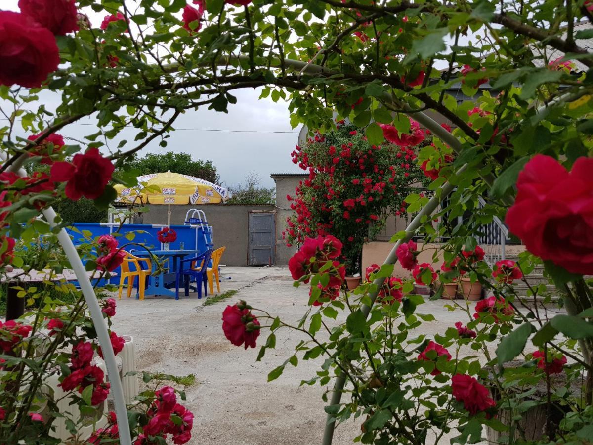 Family Hotel Maia - Cемейная Гостиница Майя Dashbashi Extérieur photo
